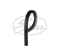 GATES AV17X1300HD FLEETRUNNER V BELT
