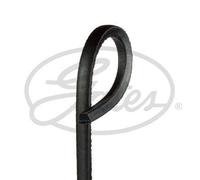 Gates AV17X1325HD V-Belt