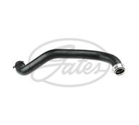 GATES 05-2831 Radiator hose