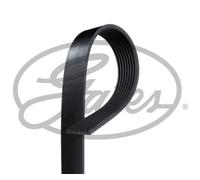 GATES 8PK1120EST Serpentine belt