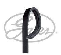 GATES Drive Belt for Mitsubishi ASX DI-D MIVEC 4Work 1.8 October 2011 to Present