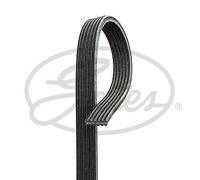 GATES 6DPK1195 Micro-V Xf Ribbed V-Belt