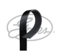 Gates Fleetrunner Heavy Duty Micro-V Belt 10PK1435HD- Long Lasting Performance