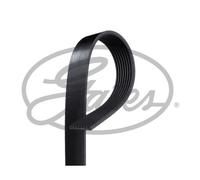 Gates Fleetrunner Heavy Duty Micro-V Belt 8PK1260HD