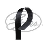 GATES 10PK1435HD Serpentine belt