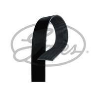 GATES 12PK1940HD Serpentine belt