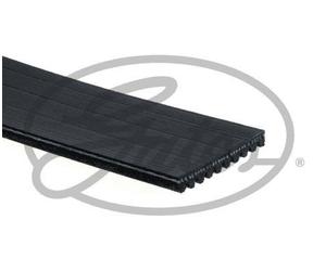 GATES FLEETRUNNER MV - 10PK1435HD