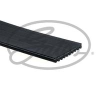 GATES 10PK1570HD Serpentine belt