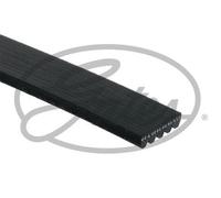 GATES FLEETRUNNER MV - 5PK1482HD