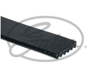GATES FLEETRUNNER MV - 6PK1850HD