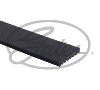 GATES FLEETRUNNER MV - 8PK1470HD