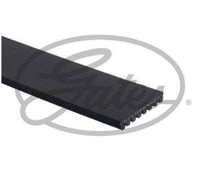 GATES FLEETRUNNER MV - 8PK1648HD