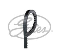 Gates FleetRunner V-Belt - AVX13X725HD