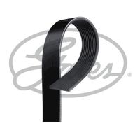 GATES ES MICRO-V MULTI-RIBBED BELT - 10PK1460ES