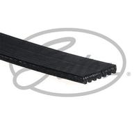 GATES H D / ES MICRO-V MULTI-RIBBED BELT - 7PK3120HD