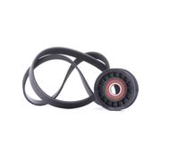 GATES K016PK1019SF V-Ribbed Belt Set