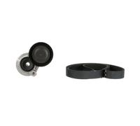 GATES K016PK1175 V-Ribbed Belt Set