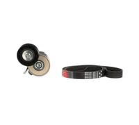 GATES K016PK1310 V-Ribbed Belt Set