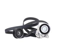 GATES K016PK2260 V-Ribbed Belt Set