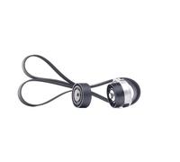 GATES K026PK1750 V-Ribbed Belt Set