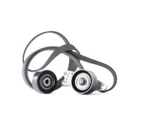 GATES K036PK1565 V-Ribbed Belt Set