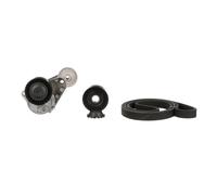 GATES K046DPK1825 V-Ribbed Belt Set