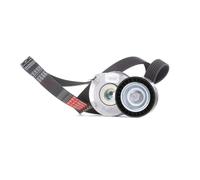 GATES K046PK1245 V-Ribbed Belt Set