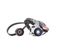 GATES K046PK1795 V-Ribbed Belt Set