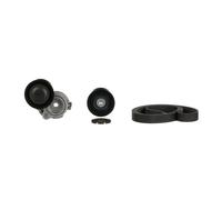 GATES K056PK1548 V-Ribbed Belt Set