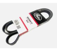 Gates Micro-V Auxiliary Drive Belt 6PK2528 6 Rib 0029936796 0039934796