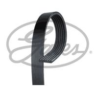 GATES Micro-V Drive Belt for Fiat Multipla JTD 1.9 April 2002 to April 2010