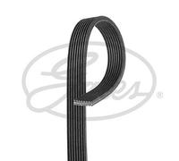 Gates 8DPK1410 V-Ribbed Belt