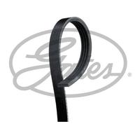 GATES Micro-V Drive Belt for Mazda MX5 B6 / B64J 1.6 Litre May 1998 to May 2005