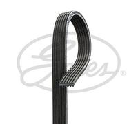 GATES 6DPK1853 Serpentine belt