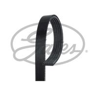 5 Rib Multi V Drive Belt fits VAUXHALL ZAFIRA B 1.6 1.8 05 to 14 Gates 55350421