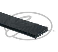 Gates Micro-V Multi-Ribbed Belt - 6PK1175
