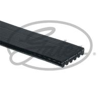 Gates 6PK1218XS V-Ribbed Belt