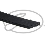 Gates Micro-V Multi-Ribbed Belt - 7PK1190EST