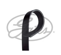 Gates Micro-V Multi-Ribbed Belt 7PK1770- OE Quality Fit & Construction