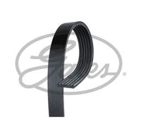 Gates Micro-V Multi-Ribbed Belt Black 6PK1213XS Fits Renault- Superb Value