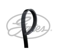 Gates 4PK885 V-Ribbed Belts EPDM Black 885 mm Fits Sao Penza 1991-1993 60543218