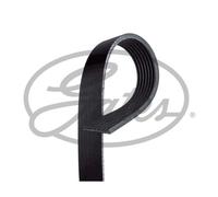 GATES 7PK1793 Serpentine belt