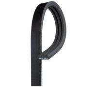 3 Rib Multi V Drive Belt 3PK800 Gates 9091602122 119203HD0A 9091602363 38349 New