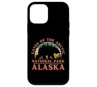 Gates Of The Arctic National Park Case for iPhone 12 mini