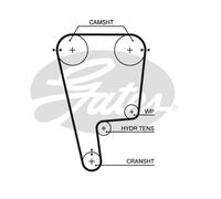 Gates PowerGrip Belt - T226