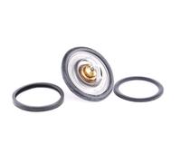 Gates TH00182G2 Thermostat