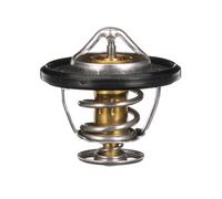 Gates TH56189G1 Thermostat