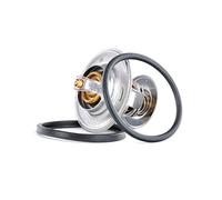Gates TH00682G1 Thermostat