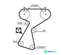GATES TIMING BELT 5244XS FOR RENAULT