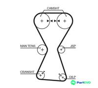 GATES TIMING BELT 5255XS FOR MITSUBISHI HYUNDAI KIA